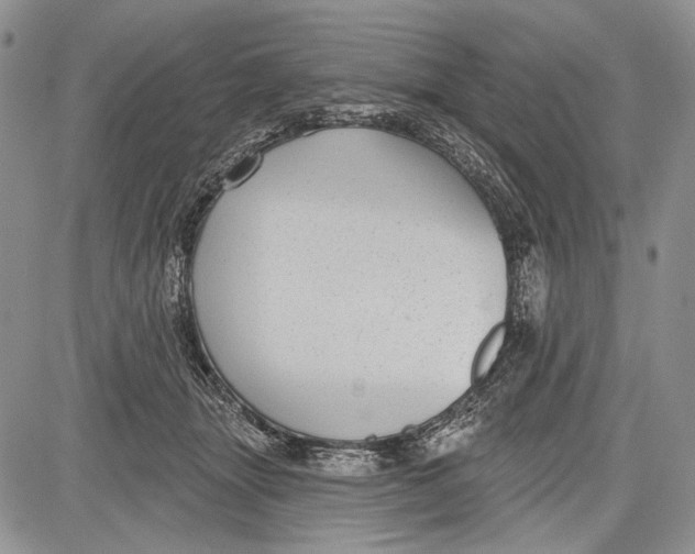 X0000081560463200702051153