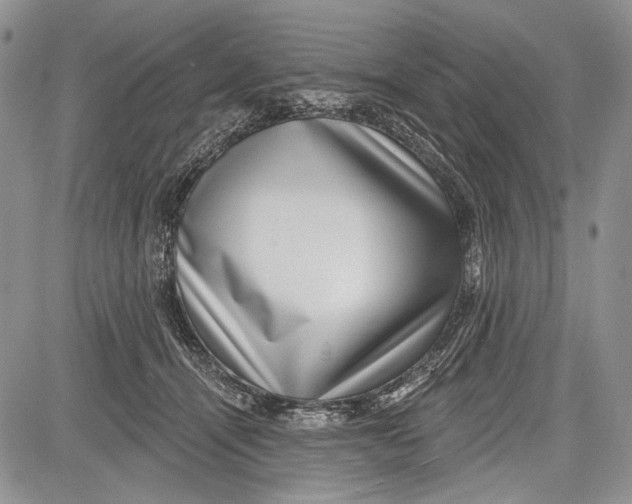 X0000081560464200702051153