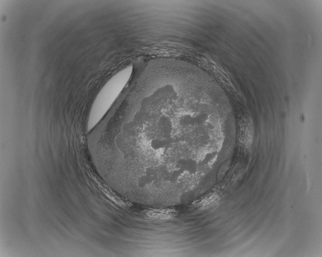 X0000081560465200702051153