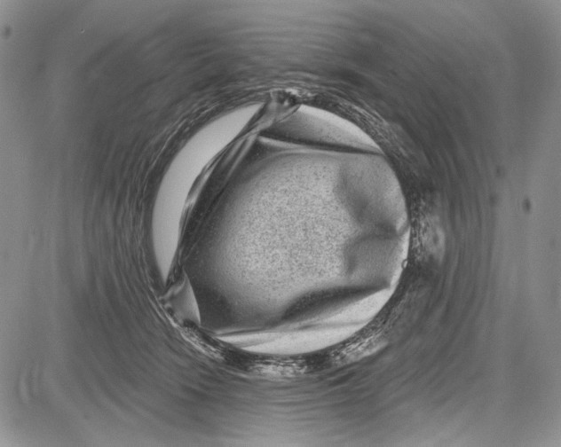 X0000081560466200702051153