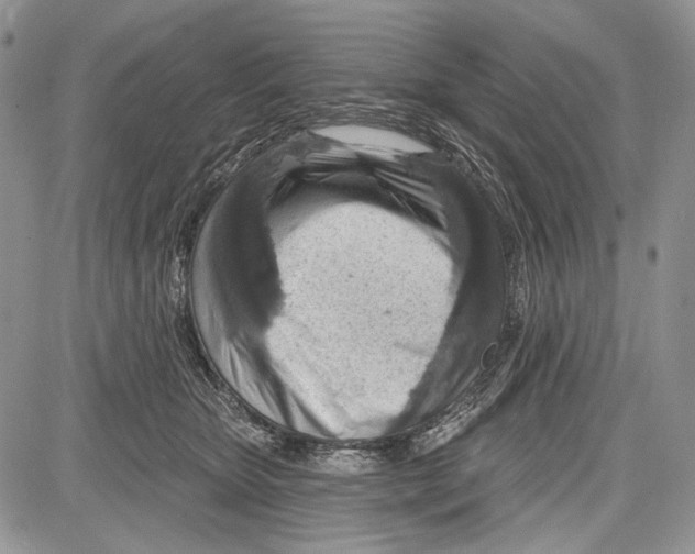 X0000081560467200702051153