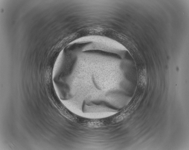 X0000081560468200702051153