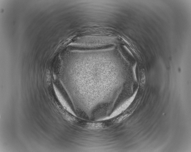 X0000081560469200702051153