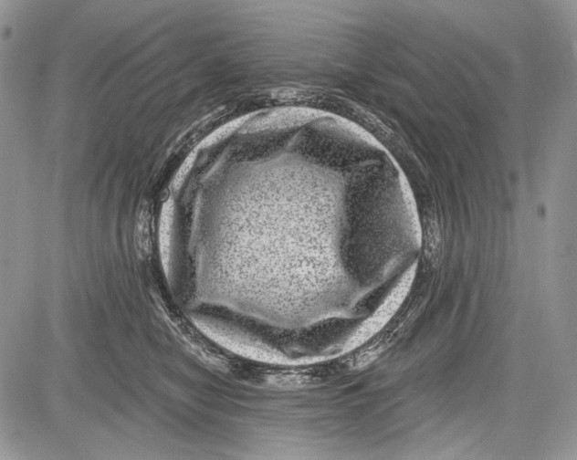 X0000081560470200702051153