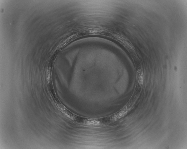 X0000081560471200702051154