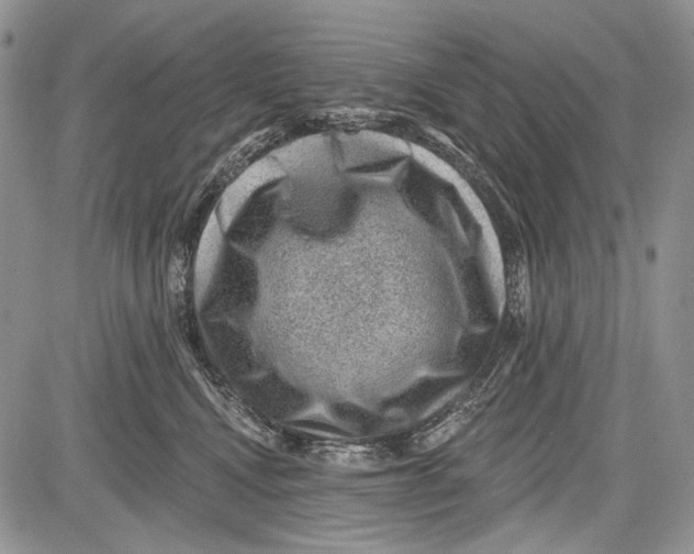 X0000081560472200702051154