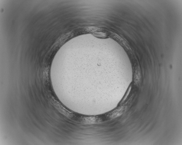 X0000081560473200702051154