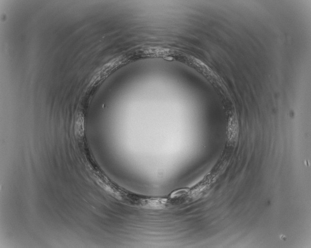 X0000081560474200702051154