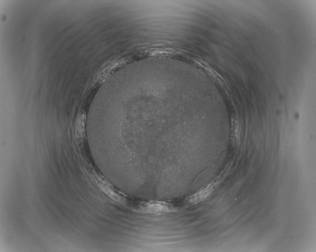 X0000081560475200702051154