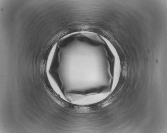 X0000081560476200702051154