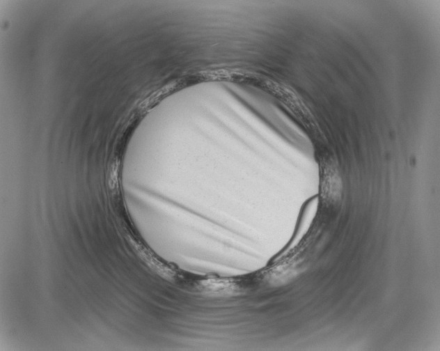 X0000081560477200702051154