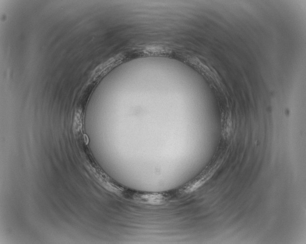 X0000081560478200702051154