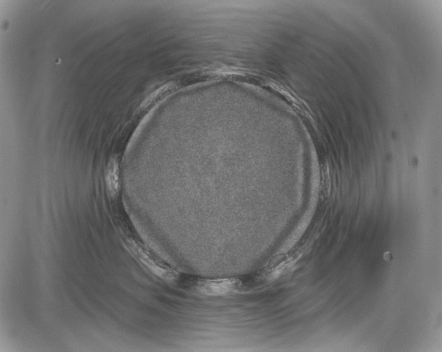 X0000081560479200702051154