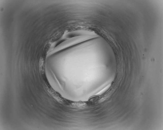 X0000081560480200702051154