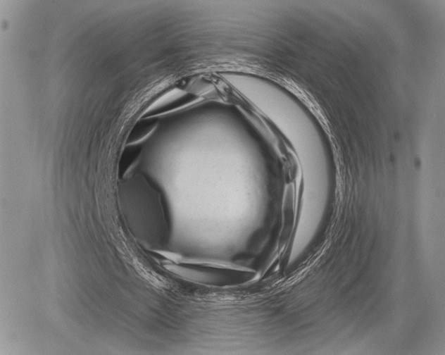 X0000081560481200702051153