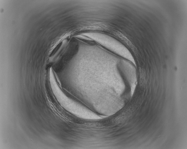 X0000081560482200702051153