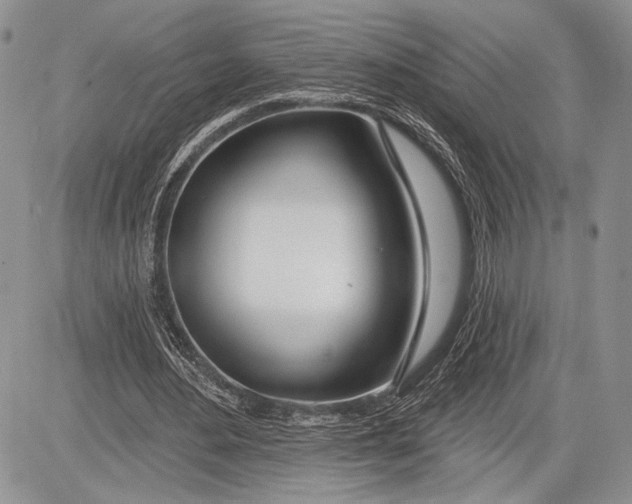 X0000081560484200702051153