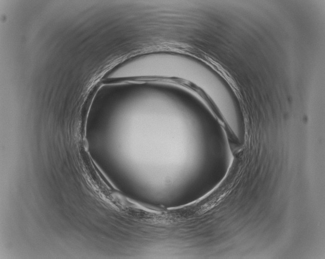 X0000081560485200702051153