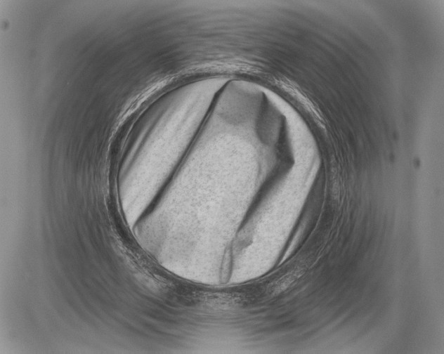 X0000081560486200702051153