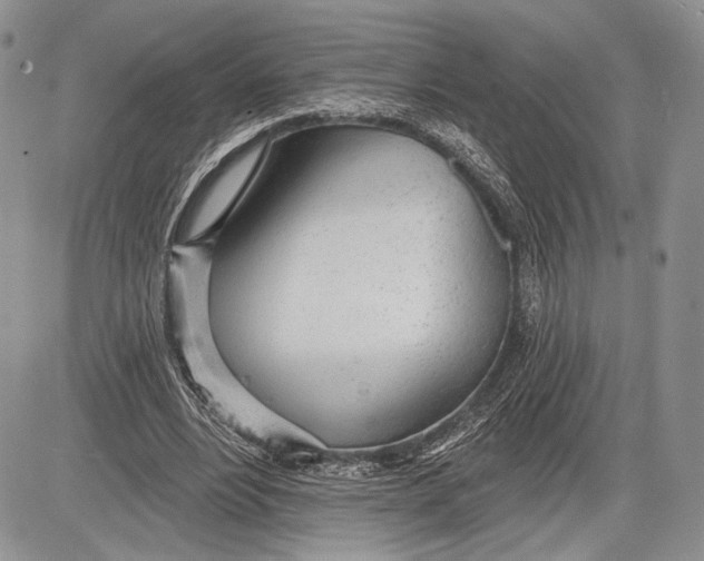 X0000081560488200702051153