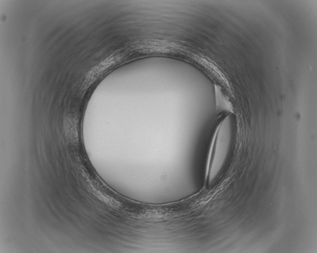 X0000081560489200702051153