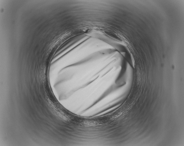 X0000081560490200702051153