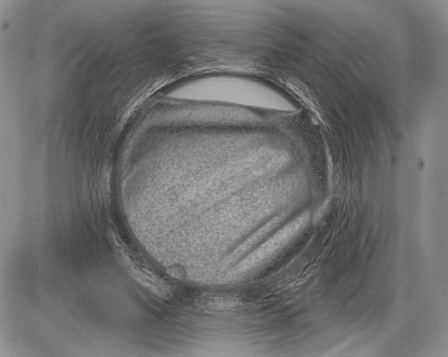 X0000081560491200702051153