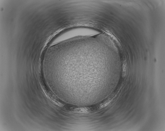 X0000081560492200702051153