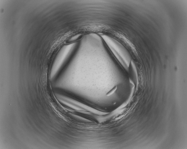 X0000081560493200702051153