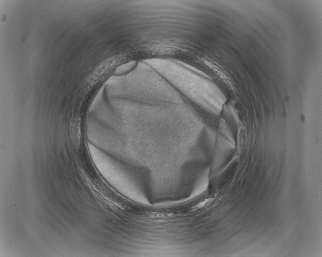 X0000081560494200702051153