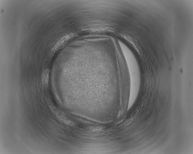 X0000081560495200702051153