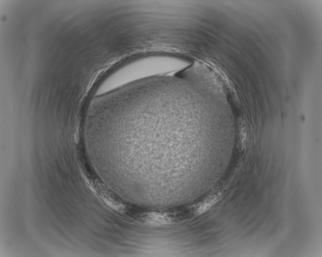 X0000081560496200702051153