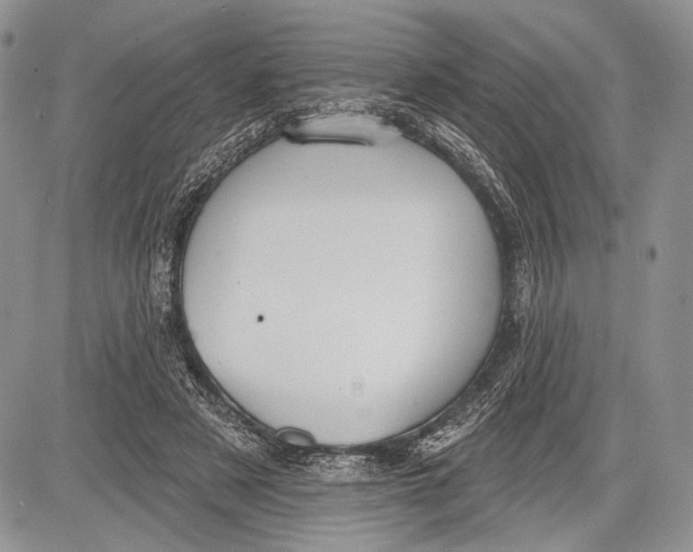 X0000081560497200702051153