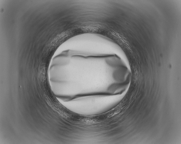 X0000081560498200702051153