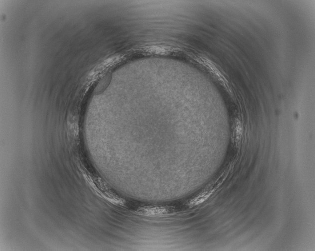 X0000081560500200702051153