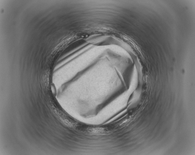 X0000081560501200702051153