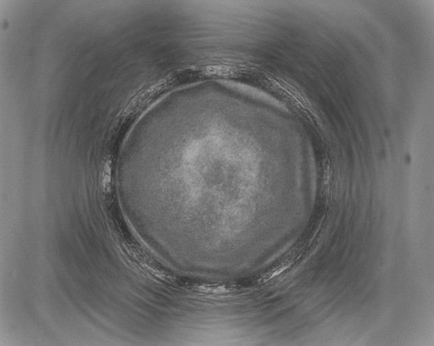 X0000081560502200702051153