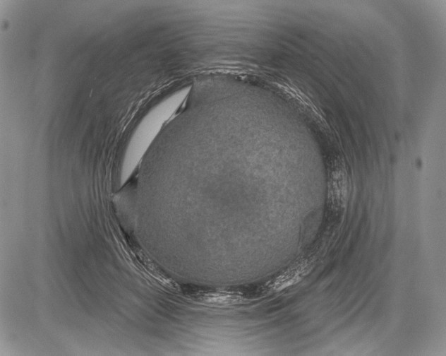 X0000081560504200702051152