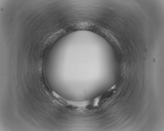 X0000081560505200702051152