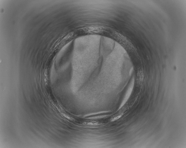 X0000081560506200702051152