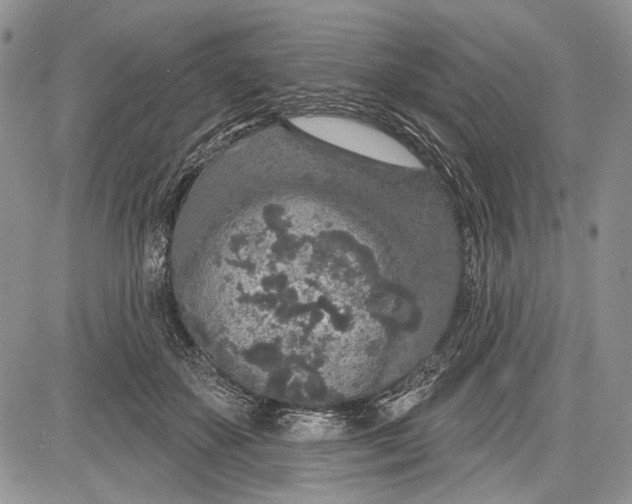 X0000081560507200702051152