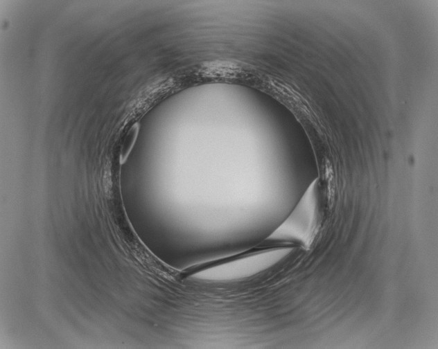 X0000081560508200702051152