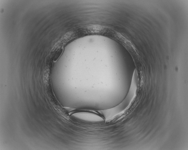 X0000081560509200702051152