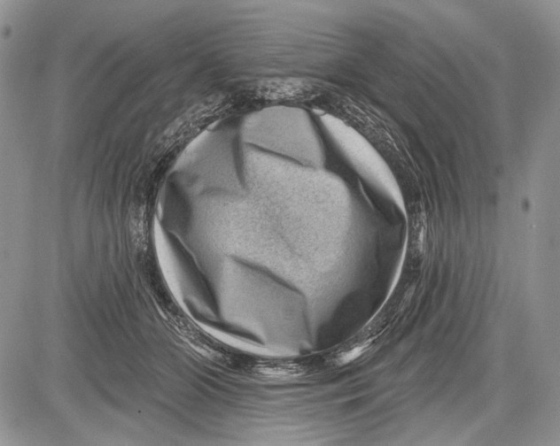 X0000081560510200702051152