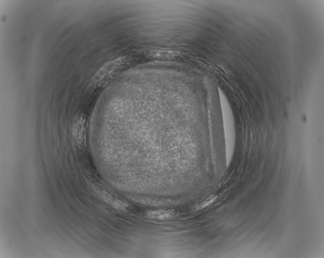 X0000081560511200702051152