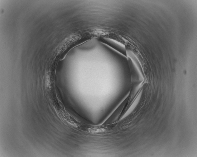 X0000081560512200702051152