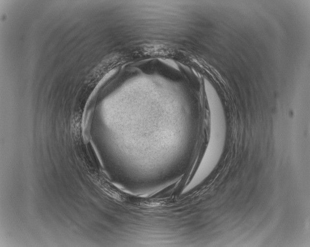 X0000081560513200702051152