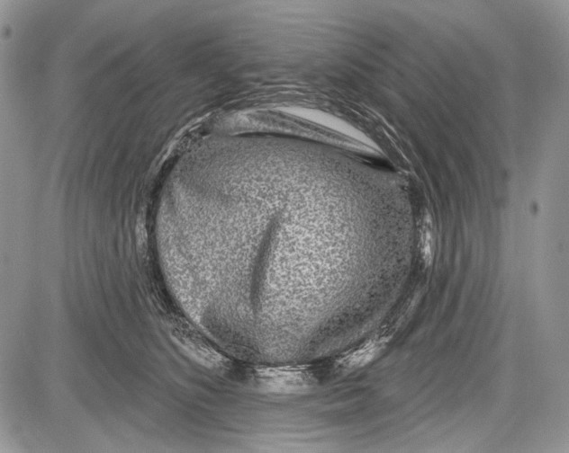 X0000081560516200702051152