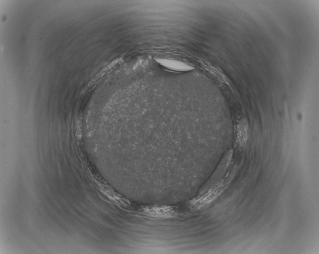 X0000081560517200702051152