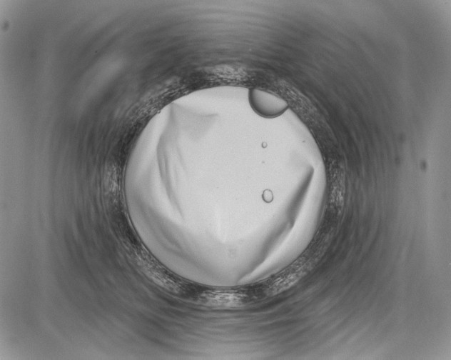 X0000081560518200702051152